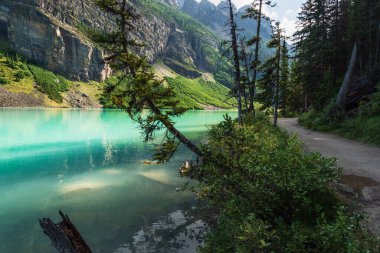 Banff Ulusal Parkı, Alberta, Kanada 'da zümrüt gölü ve manzaralı dağlarla güzel doğal manzara.