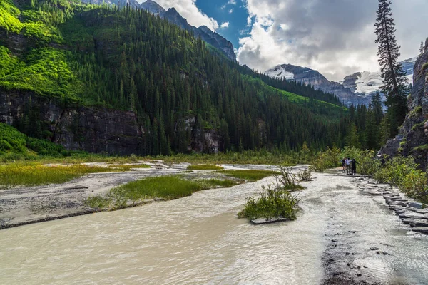 Bella Scena Naturale Alberta Canada — Foto Stock