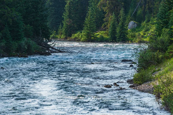 Krásná Krajina Horskou Řekou Jaspis Národního Parku Alberta Kanada — Stock fotografie