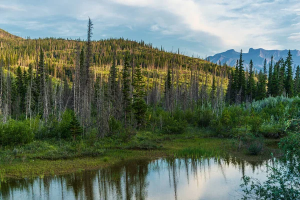 Paesaggio Panoramico Con Lago Montagne Nel Parco Nazionale Banff Alberta — Foto Stock