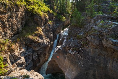 Jasper Ulusal Parkı, Alberta, Kanada 'daki dağ nehri ile güzel bir manzara. 