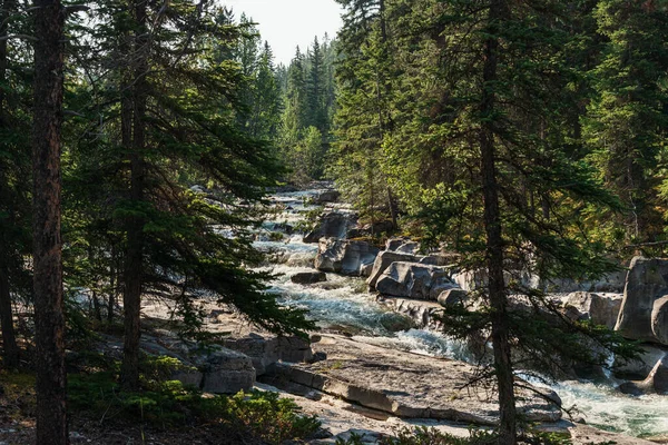 Krásná Krajina Horskou Řekou Jaspis Národního Parku Alberta Kanada — Stock fotografie