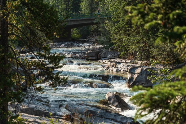 Krásná Krajina Horskou Řekou Jaspis Národního Parku Alberta Kanada — Stock fotografie