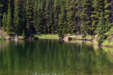 Jasper Ulusal Parkı, Alberta, Kanada 'da sakin gölü ve manzaralı dağları olan güzel bir manzara.