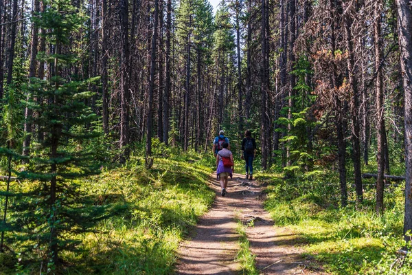 Jasper Ulusal Parkı Nda Kanada Yürüyen Insanların Arka Plan Görüntüsü — Stok fotoğraf