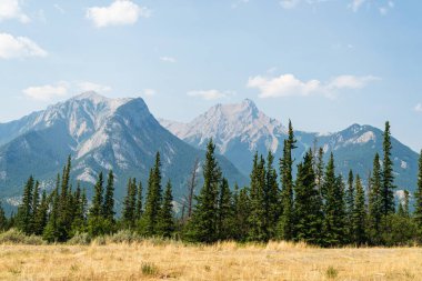 Jasper Ulusal Parkı, Alberta, Kanada 'da manzaralı dağlarla dolu güzel bir manzara.