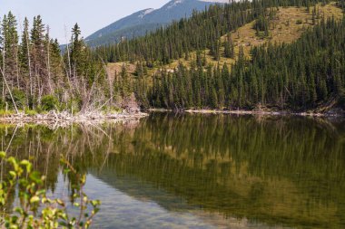 Güzel manzara Jasper Ulusal Parkı, Alberta, Kanada 'daki sakin göle yansıyor.