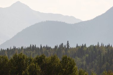 Jasper Ulusal Parkı 'ndaki güzel manzara Sabah Alberta, Kanada