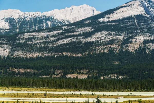 Piękny Krajobraz Malowniczymi Górami Parku Narodowym Jasper Alberta Kanada — Zdjęcie stockowe