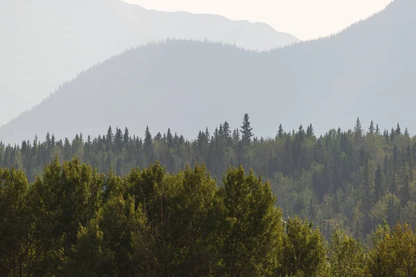Όμορφο Τοπίο Jasper Εθνικό Πάρκο Πρωί Αλμπέρτα Καναδά — Φωτογραφία Αρχείου