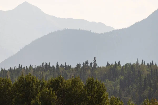 Bela Paisagem Parque Nacional Jasper Pela Manhã Alberta Canadá — Fotografia de Stock