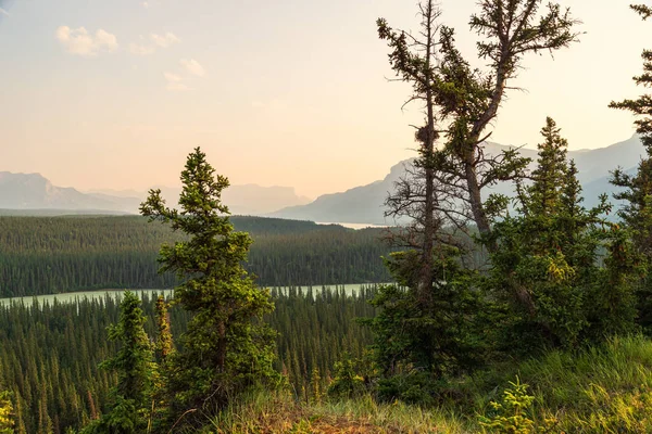 Bellissimo Paesaggio Diaspro Parco Nazionale Mattino Alberta Canada — Foto Stock