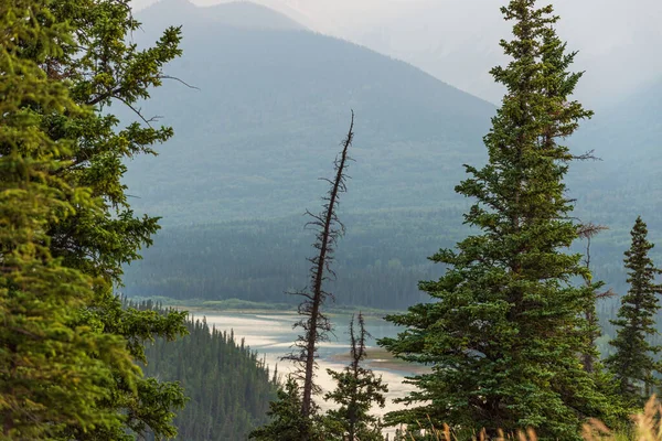 Όμορφο Τοπίο Jasper Εθνικό Πάρκο Πρωί Αλμπέρτα Καναδά — Φωτογραφία Αρχείου