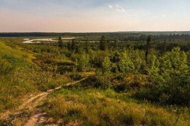 Elbow River 'ın Görkemli Doğal Sahnesi, Alberta, Kanada