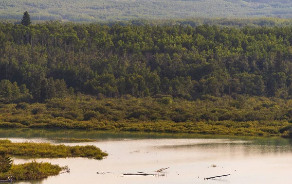 Величні Природні Пейзажі Річки Ельбов Альберта Канада — стокове фото