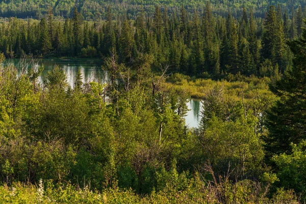 Majestic Natural Scenery Elbow River Alberta Canadá — Fotografia de Stock
