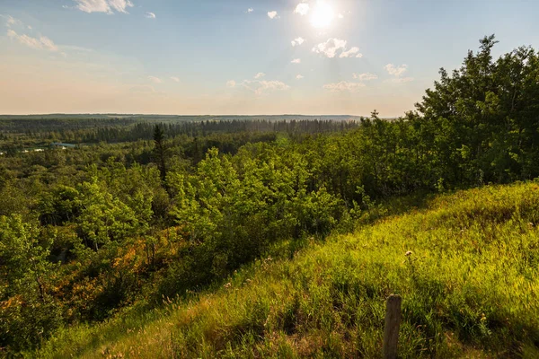 Hermoso Paisaje Con Exuberante Vegetación Verde Alberta Canada — Foto de Stock
