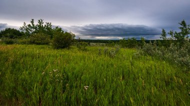 Alberta, Kanada 'da güzel doğal bir manzara.
