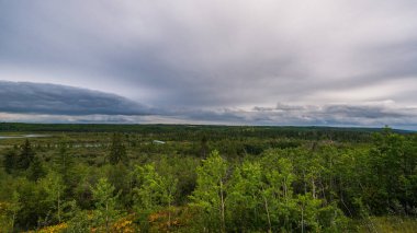 Güzel Doğal Dirsek Nehri Sahnesi, Alberta, Kanada