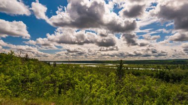 Güzel Doğal Dirsek Nehri Sahnesi, Alberta, Kanada