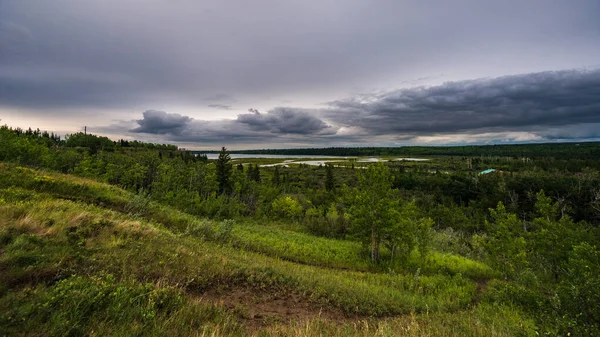 Güzel Doğal Dirsek Nehri Sahnesi Alberta Kanada — Stok fotoğraf