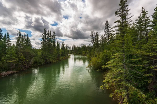 Krásná Přírodní Scenérie Řeky Loket Alberta Kanada — Stock fotografie