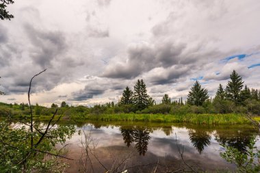 Güzel Doğal Dirsek Nehri Sahnesi, Alberta, Kanada