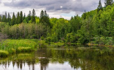 Dirsek Nehri, Alberta, Kanada ile Güzel Manzara 
