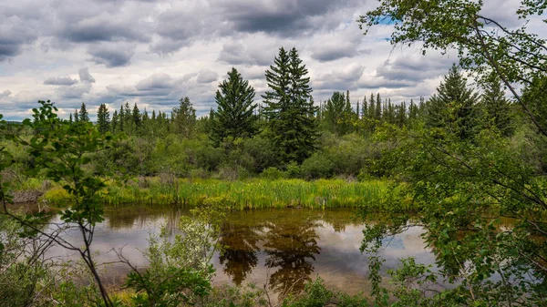 Hermoso Paisaje Natural Del Río Elbow Alberta Canadá — Foto de Stock