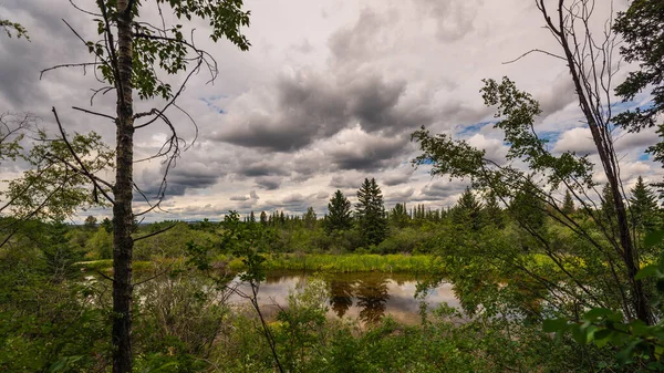 Красивые Природные Пейзажи Реки Элбоу Альберта Канада — стоковое фото