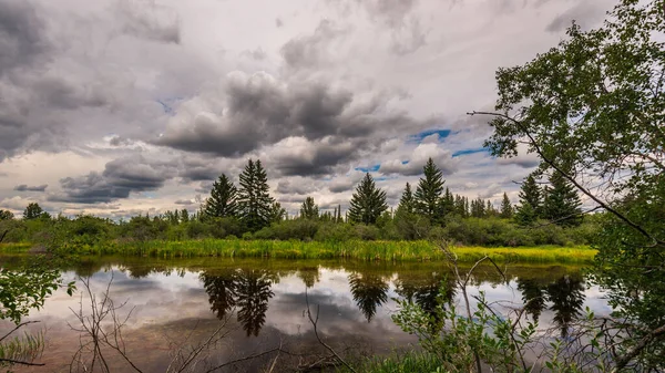 Hermoso Paisaje Natural Del Río Elbow Alberta Canadá —  Fotos de Stock