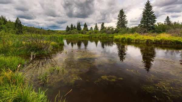 Beautiful Landscape Elbow River Alberta Canada — Stock Photo, Image