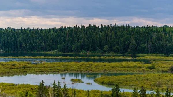 Hermoso Paisaje Con Río Elbow Alberta Canadá — Foto de Stock