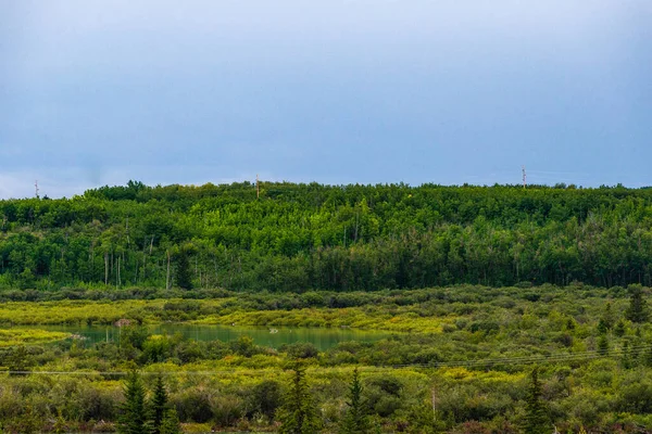 Bellissimo Paesaggio Con Rigogliosa Vegetazione Verde Alberta Canada — Foto Stock