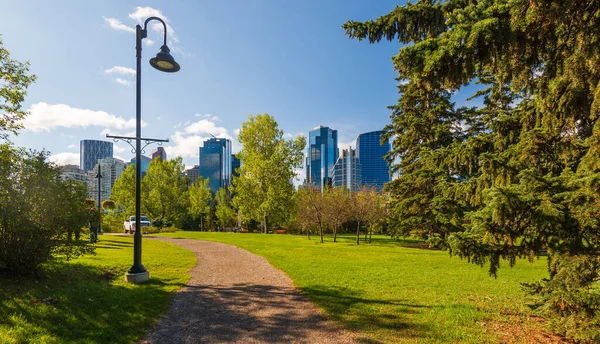Calgary, Kanada 'daki yeşil park ve kentsel binalar