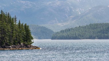 İngiltere 'nin Kolombiya, Kanada' da kıyı şeridi ve dağları olan güzel huzurlu doğa manzarası. 
