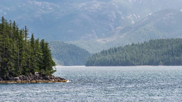 Prachtige Rustige Natuur Met Kustlijn Bergen Brits Columbia Canada — Stockfoto