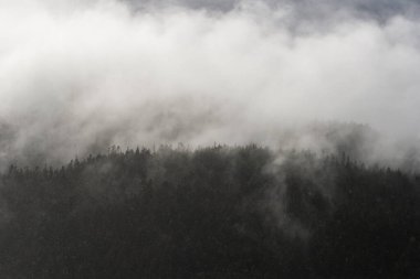 Britanya Kolumbiyası, Kanada 'da güzel huzurlu doğal manzara 