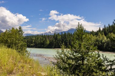 Alberta, Kanada 'daki dağ nehri ile görkemli doğal manzara.