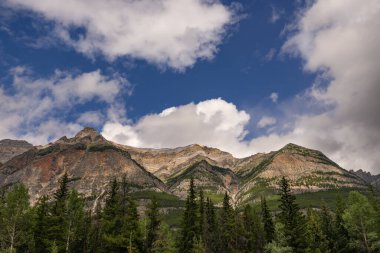 Alberta, Kanada 'daki güzel dağ manzarası