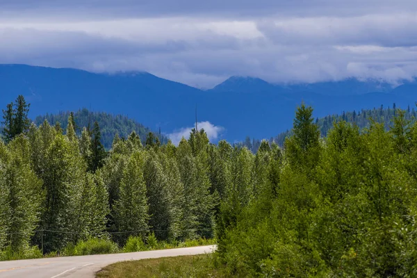 加拿大阿尔贝塔绿树成荫的美丽风景 — 图库照片