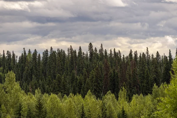 Banff Ulusal Parkı 'nda Doğal Manzara, Kanada