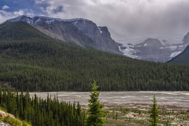 Alberta, Kanada 'daki dağ nehri ile görkemli doğal manzara.