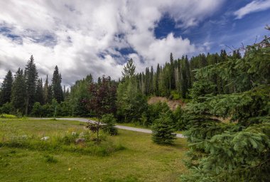 Alberta, Kanada 'daki güzel dağ manzarası