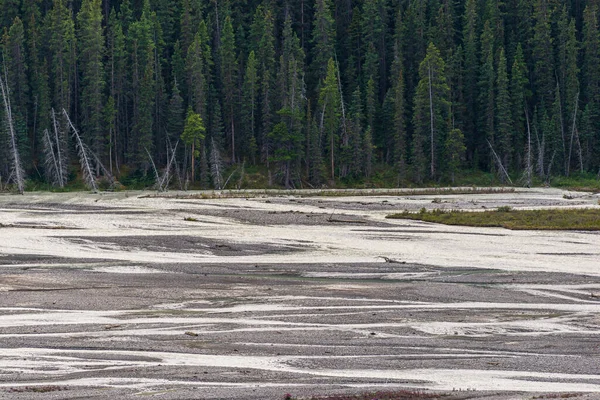 Величні Природні Краєвиди Гірською Річкою Альберті Канада — стокове фото