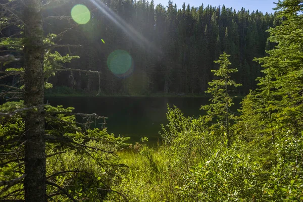 Majestosa Paisagem Natural Com Rio Montanha Alberta Canadá — Fotografia de Stock