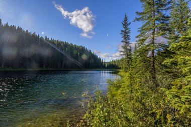 Alberta, Kanada 'daki dağ nehri ile görkemli doğal manzara.