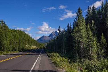 Banff Ulusal Parkı 'nın güzel doğal manzarası, Alberta, Kanada