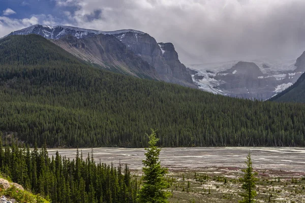 Vackert Bergslandskap Alberta Kanada — Stockfoto