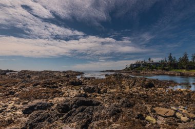 Sahil şeridi ve manzaralı dağları olan güzel, huzurlu doğal bir manzara. 